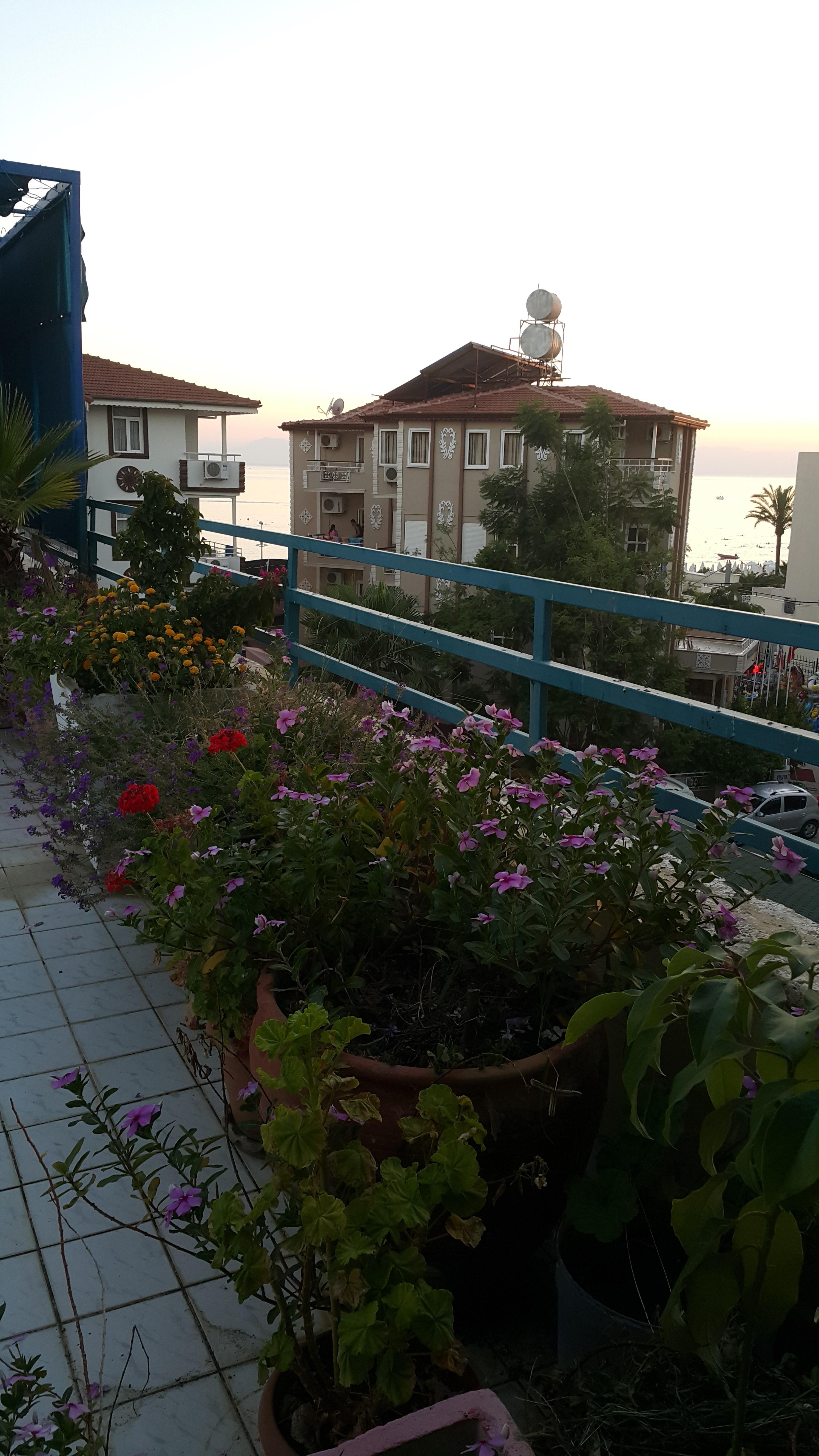 Delphin Apart Hotel Sidé Extérieur photo