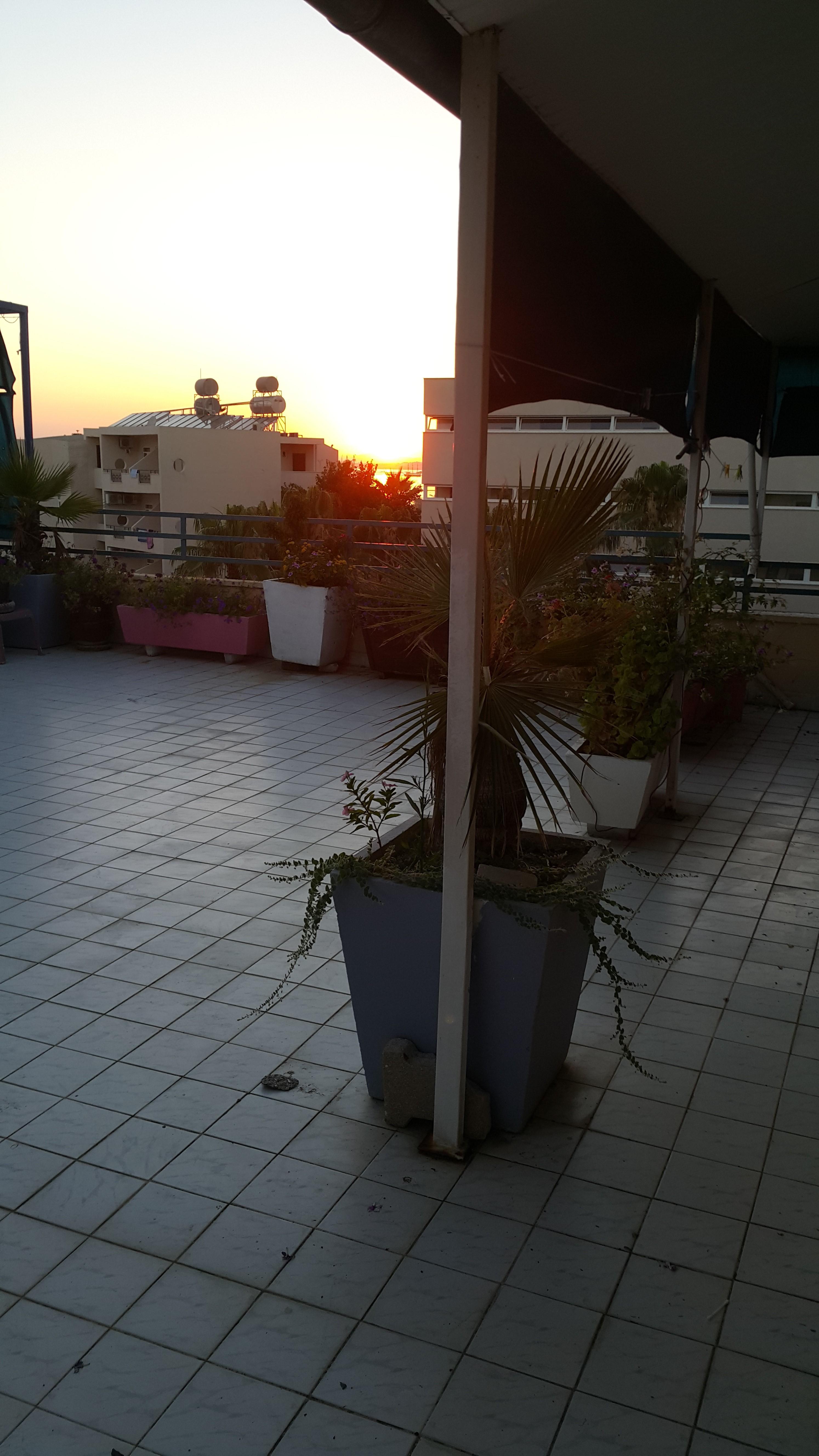 Delphin Apart Hotel Sidé Extérieur photo